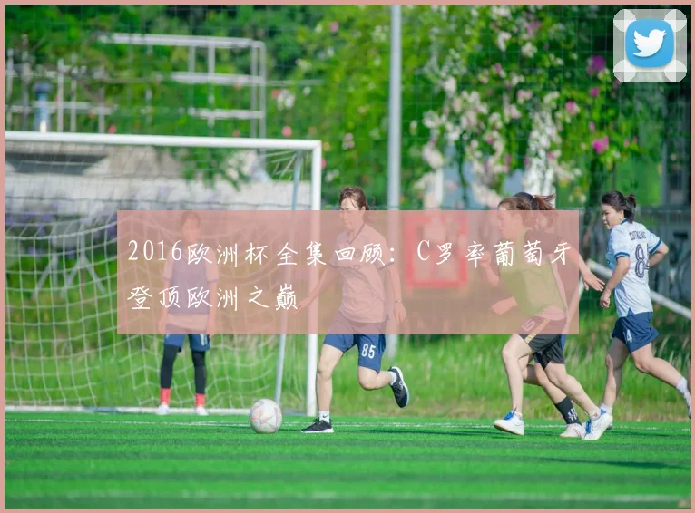 2016欧洲杯全集回顾:C罗率葡萄牙登顶欧洲之巅