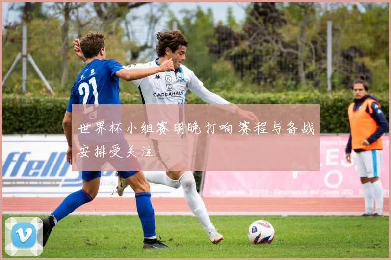 世界杯小组赛明晚打响 赛程与备战安排受关注