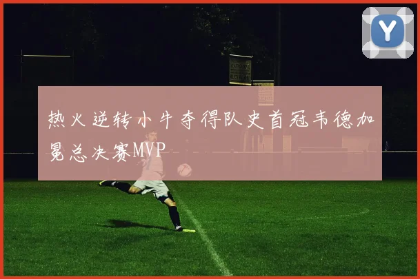 热火逆转小牛夺得队史首冠韦德加冕总决赛MVP